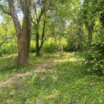 Продается Дом, 57 м²