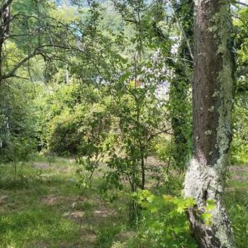 Продается Дом, 57 м²