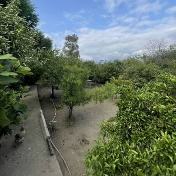 Продается Участок, 690 м²