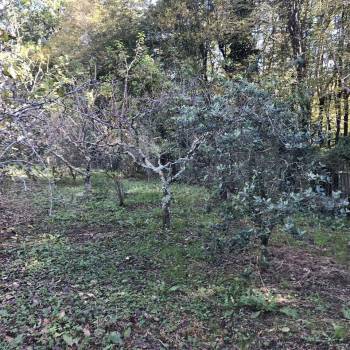 Продается Участок, 3000 м²