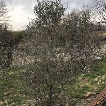 Продается Участок, 3000 м²