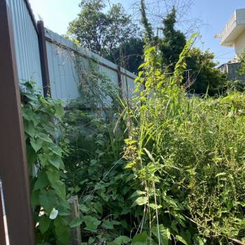 Продается Участок, 1000 м²