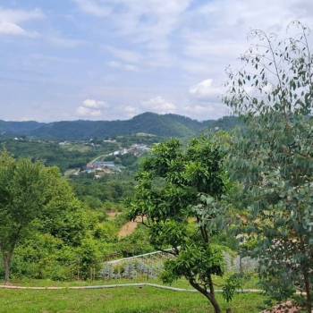 Продается Участок, 2000 м²