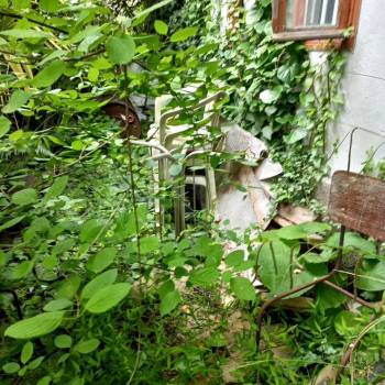 Продается Дом, 120 м²