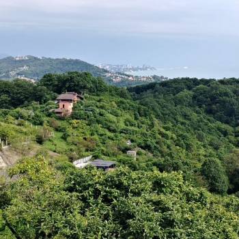 Продается Участок, 650 м²