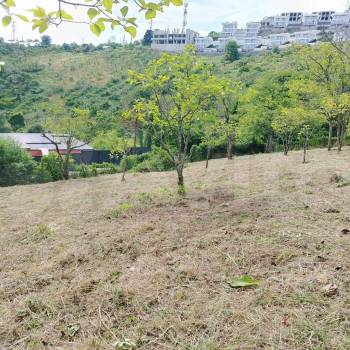 Продается Участок, 650 м²