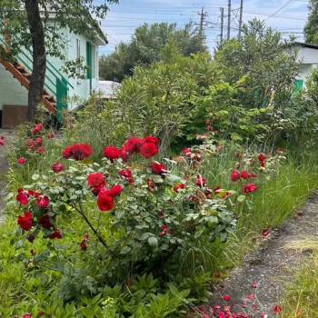 Продается Участок, 1000 м²