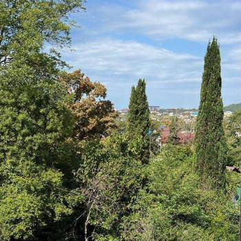 Продается 1-комнатная квартира, 30,2 м²