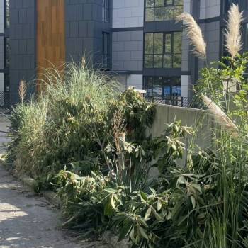 Продается 1-комнатная квартира, 24 м²