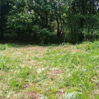 Продается Участок, 500 м²