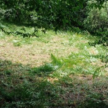 Продается Участок, 500 м²