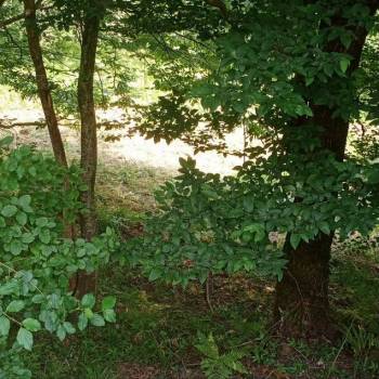 Продается Участок, 500 м²