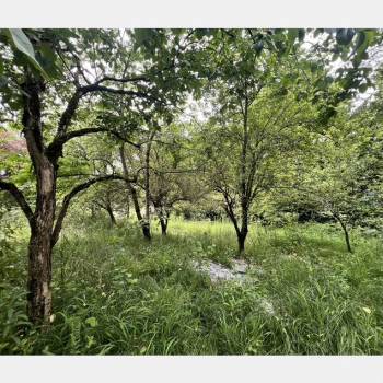 Продается Участок, 500 м²