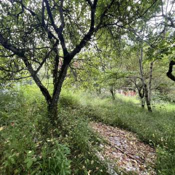 Продается Участок, 500 м²