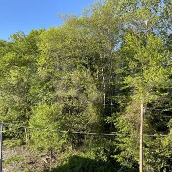 Сдается 2-х комнатная квартира, 80 м²