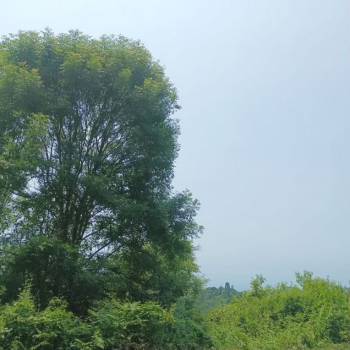 Продается Участок, 1000 м²