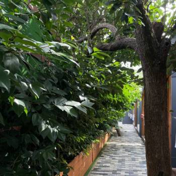 Продается Участок, 700 м²