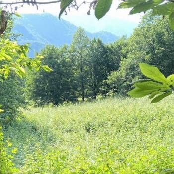 Продается Участок, 2700 м²