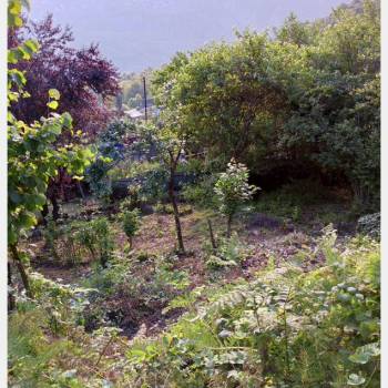 Продается Участок, 430 м²