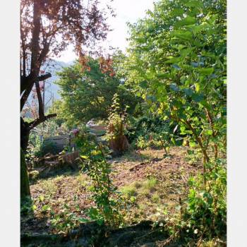 Продается Участок, 430 м²