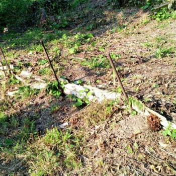 Продается Участок, 430 м²