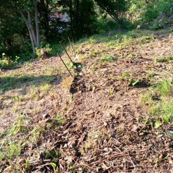 Продается Участок, 430 м²