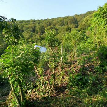 Продается Участок, 430 м²