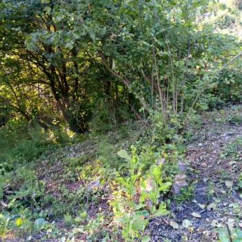 Продается Участок, 430 м²