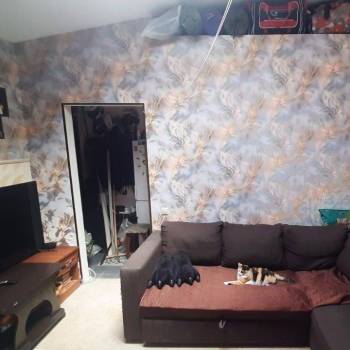 Продается 1-комнатная квартира, 22,4 м²