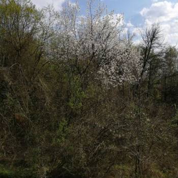 Продается Участок, 590 м²