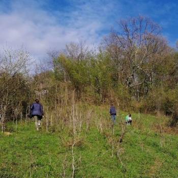 Продается Участок, 590 м²