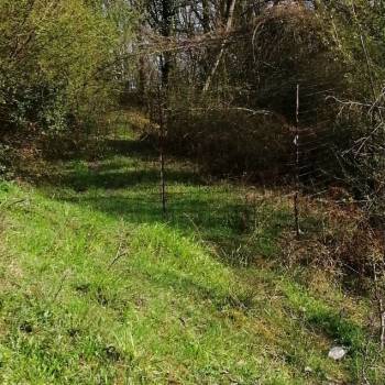 Продается Участок, 590 м²