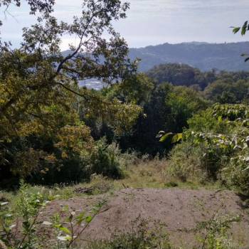 Продается Участок, 590 м²