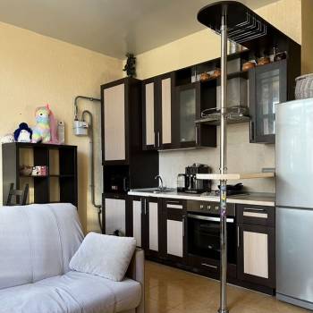 Продается 1-комнатная квартира, 24,6 м²