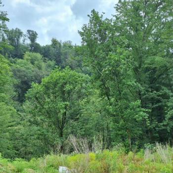 Продается Участок, 600 м²