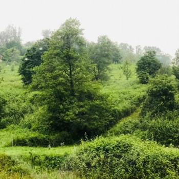 Продается Участок, 3500 м²