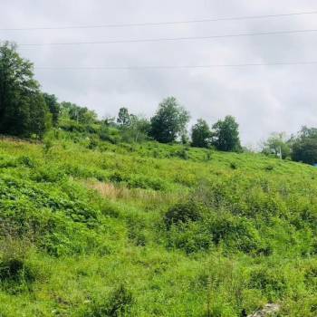 Продается Участок, 3500 м²