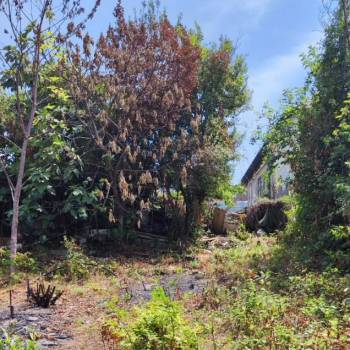 Продается Участок, 550 м²