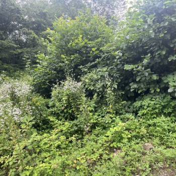 Продается Участок, 400 м²