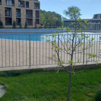 Продается 1-комнатная квартира, 26,6 м²