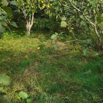 Продается Участок, 500 м²