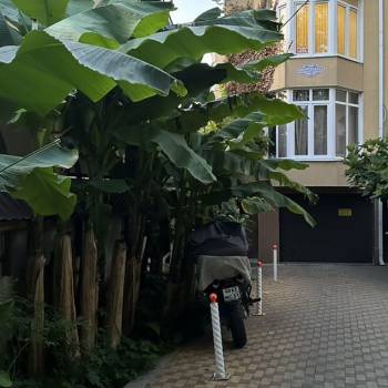 Продается 1-комнатная квартира, 30,8 м²