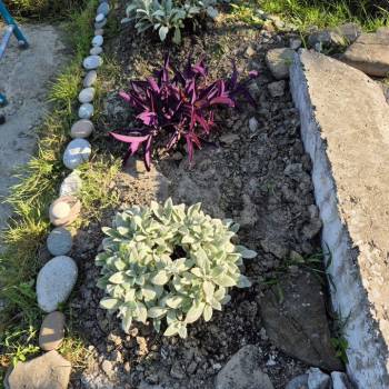 Продается Дом, 84 м²