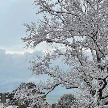 Продается Дом, 120 м²