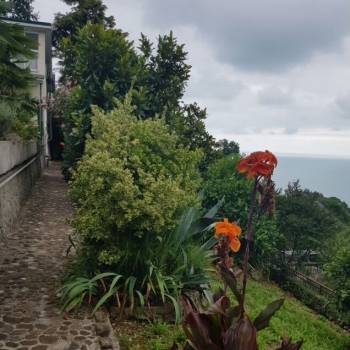 Сдается Дом, 74 м²