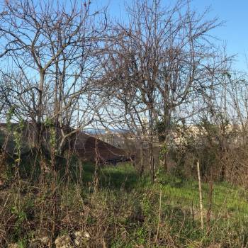 Продается Участок, 540 м²