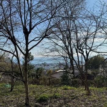 Продается Участок, 600 м²