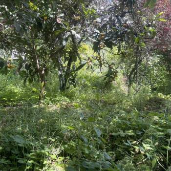 Продается Участок, 1400 м²