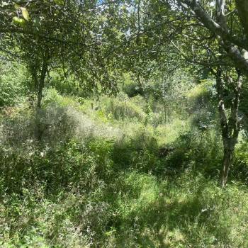 Продается Участок, 1400 м²