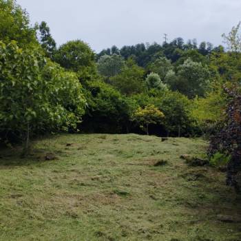 Продается Участок, 840 м²